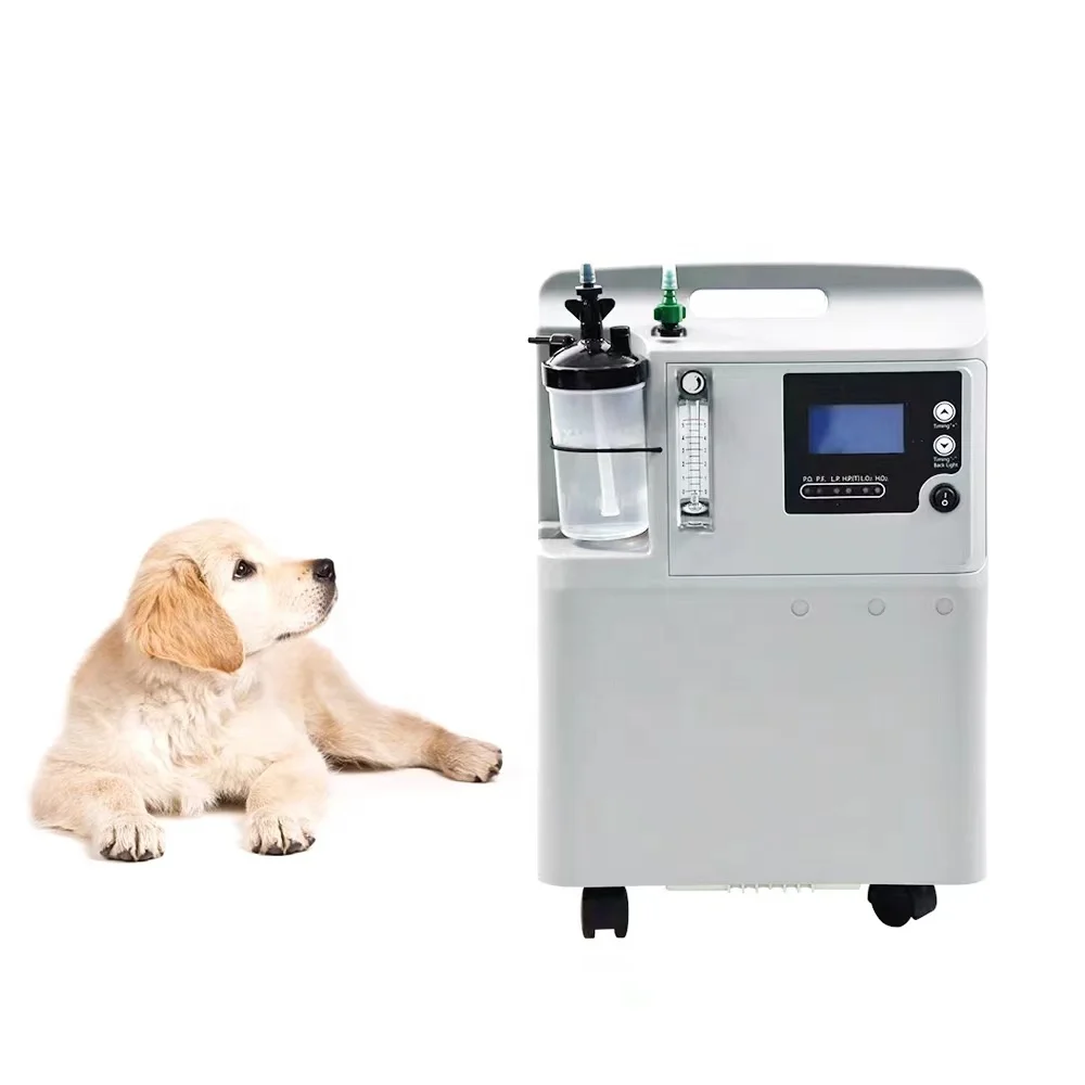 Hochwertige Veterinär-Therapie – Medical Lab Machine Price Bewertung und Preis
